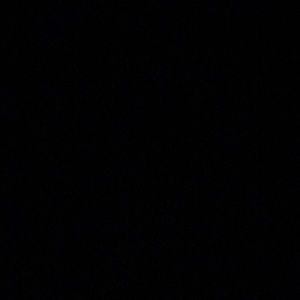 Meet your Posher, Amelia